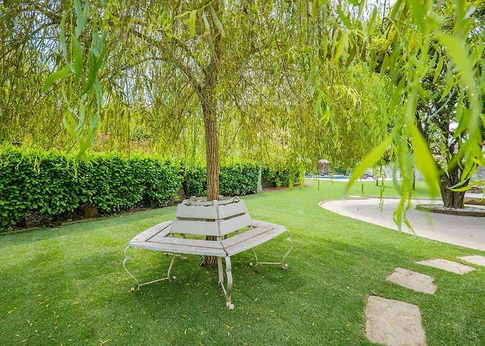 Rachel Trilo Lejlighed